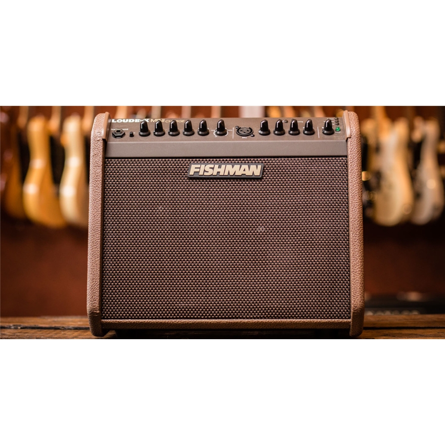 24-fishman-loudbox-mini-charge-bluetooth-60w-pro-lbc-500-14301211_6