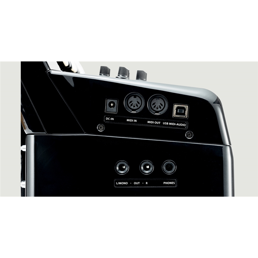 30-korg-fisa-suprema-button-mbk-c1280280701_7