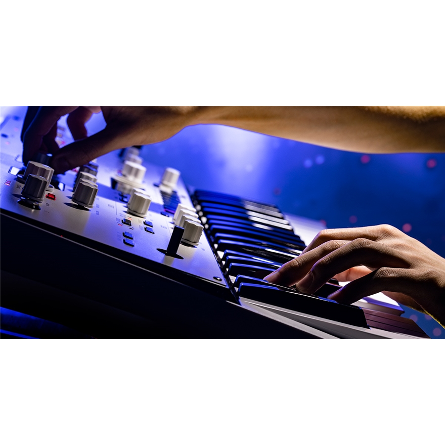 30-korg-kingkorg-neo-c1280200393_17