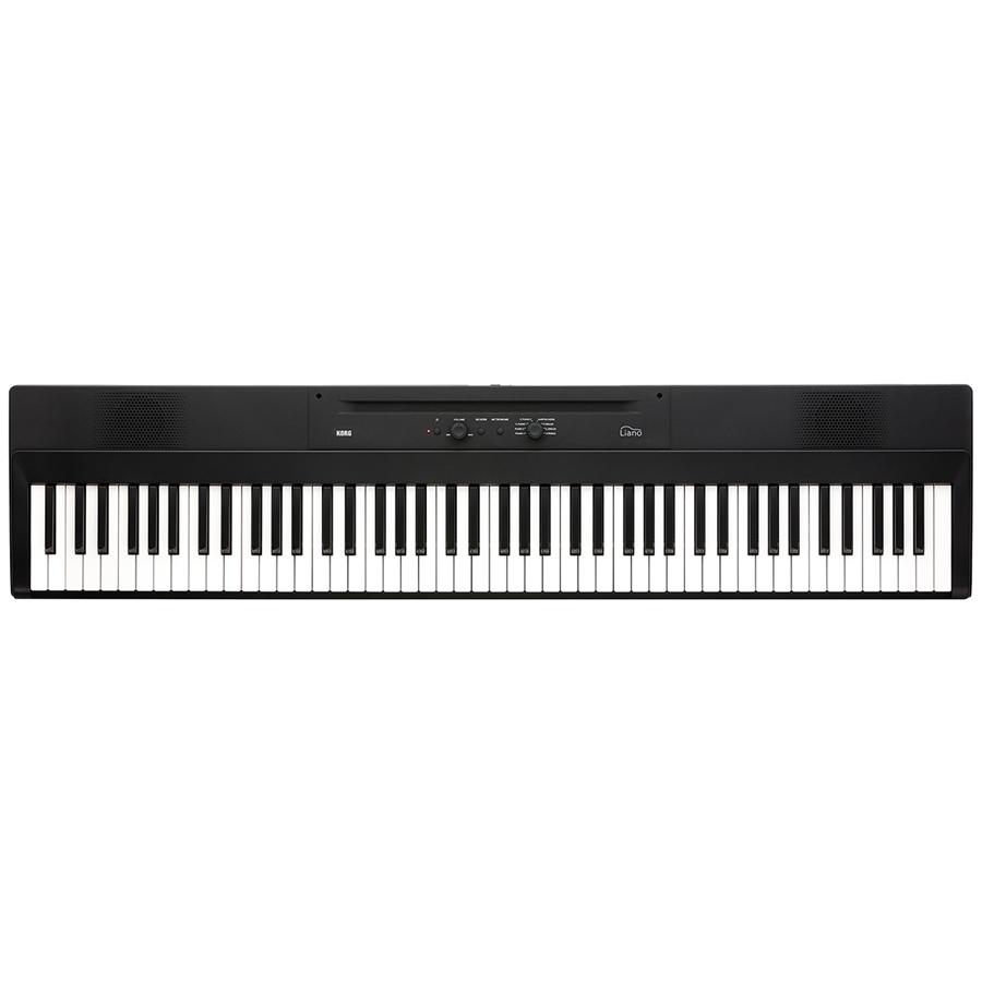 30-korg-liano-pianoforte-digitale-portatile-c1280220236_0