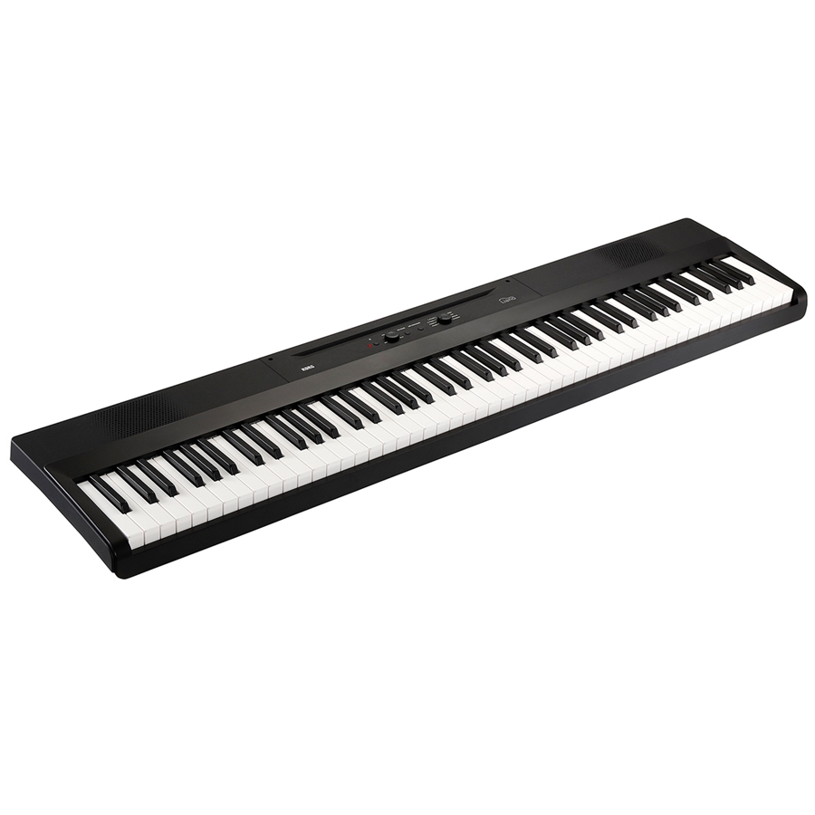 30-korg-liano-pianoforte-digitale-portatile-c1280220236_1