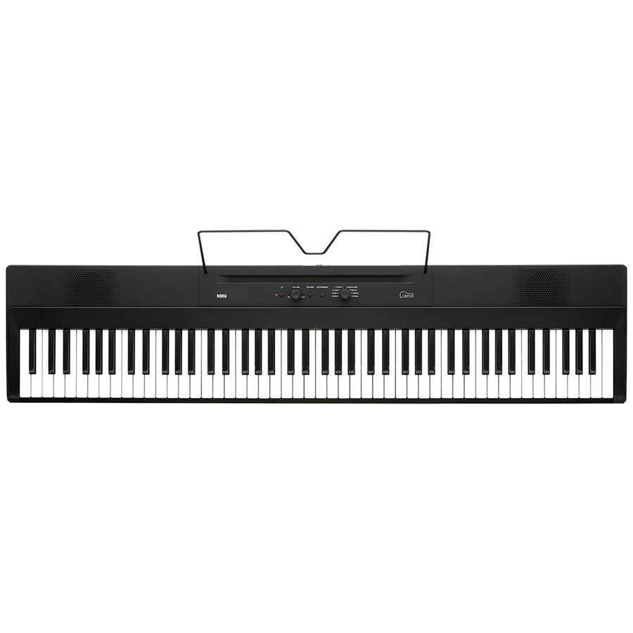 30-korg-liano-pianoforte-digitale-portatile-c1280220236_2