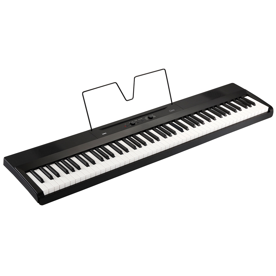 30-korg-liano-pianoforte-digitale-portatile-c1280220236_3