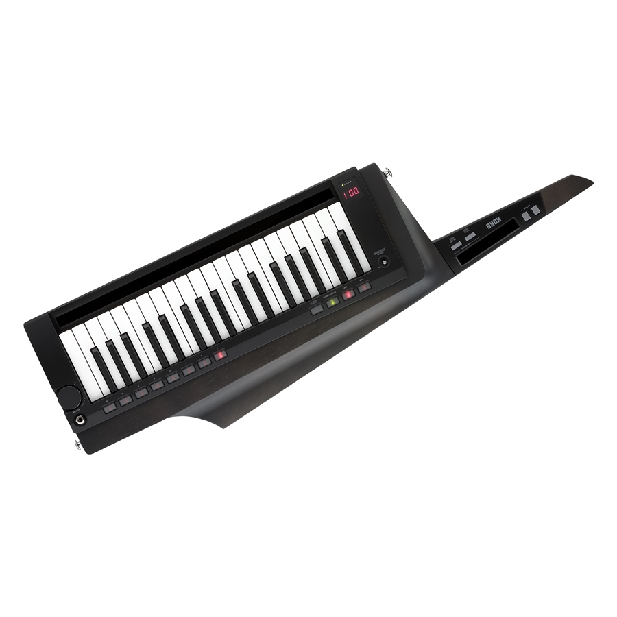 30-korg-rk-100s2-blk-c1280200379_0
