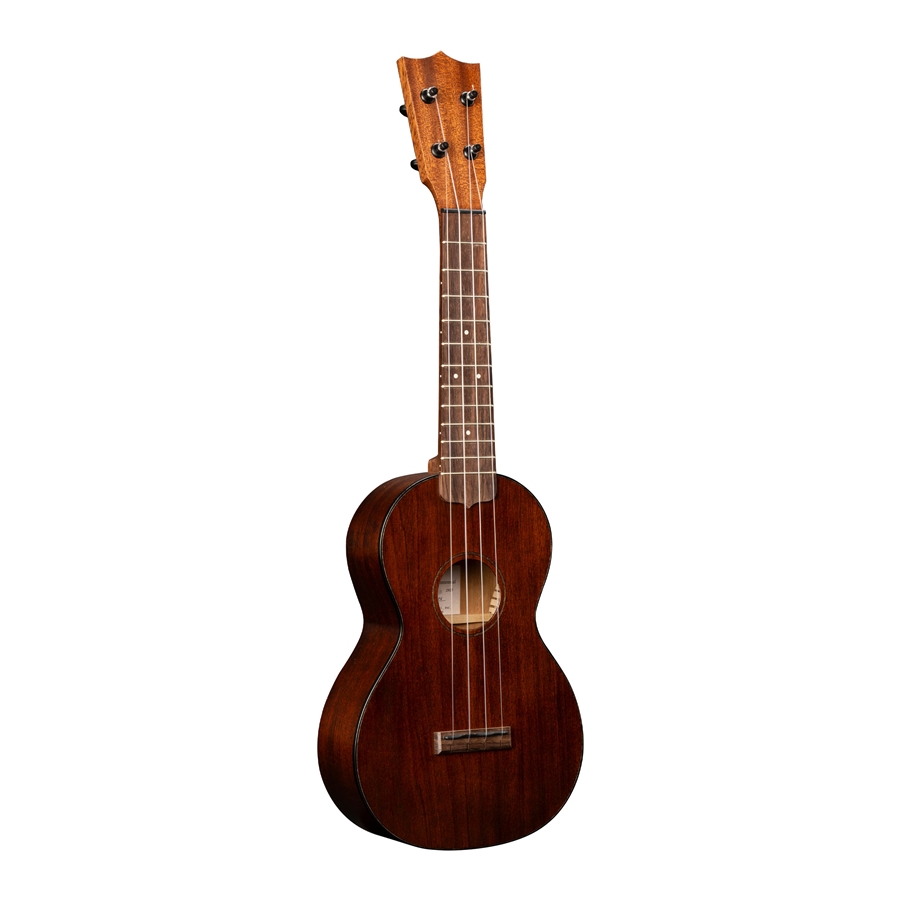 33-martin-co-centennial-concert-uke-06601363_0