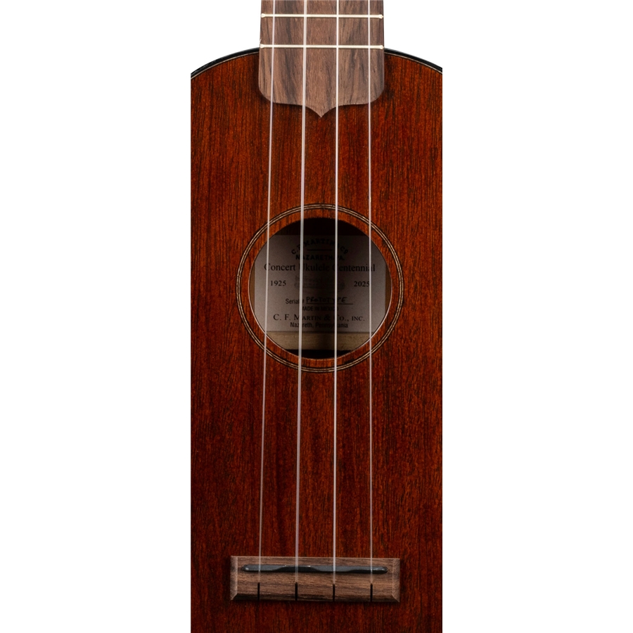 33-martin-co-centennial-concert-uke-06601363_3