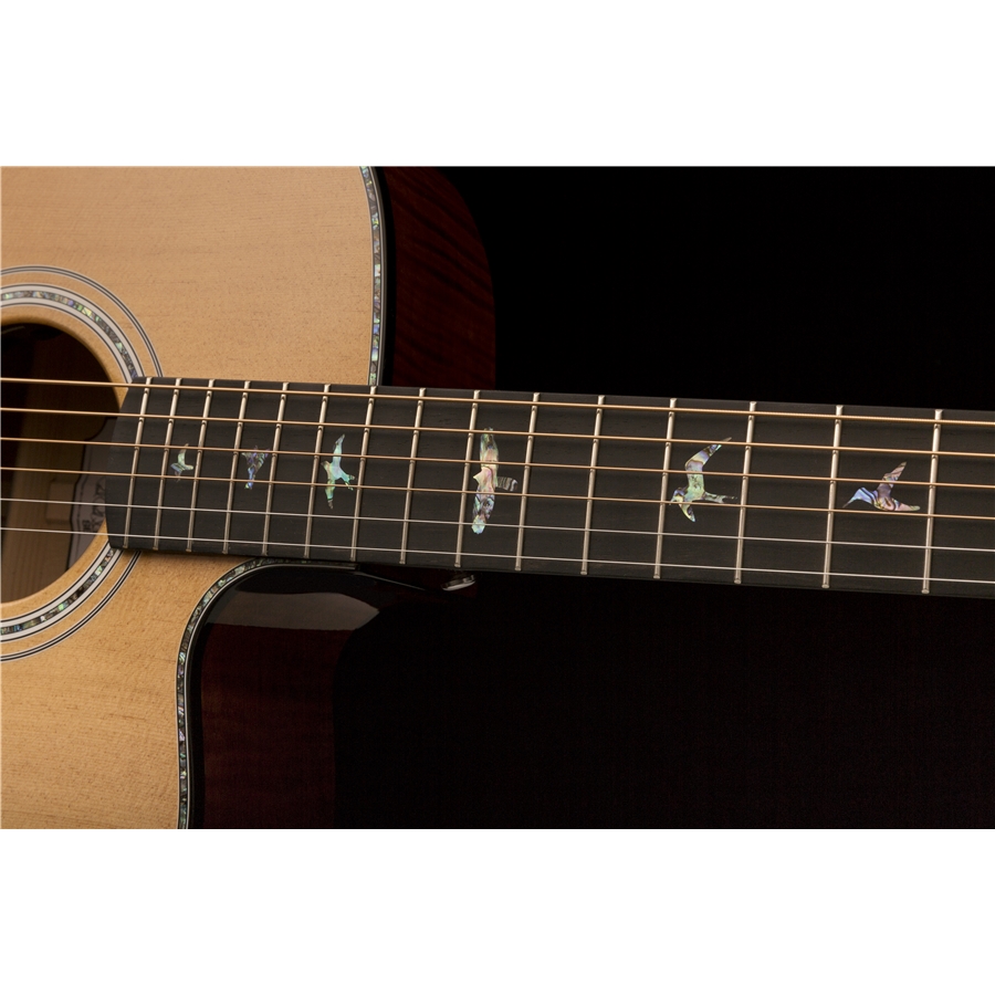 42-prs-se-a50e-black-gold-burst-24000135_6