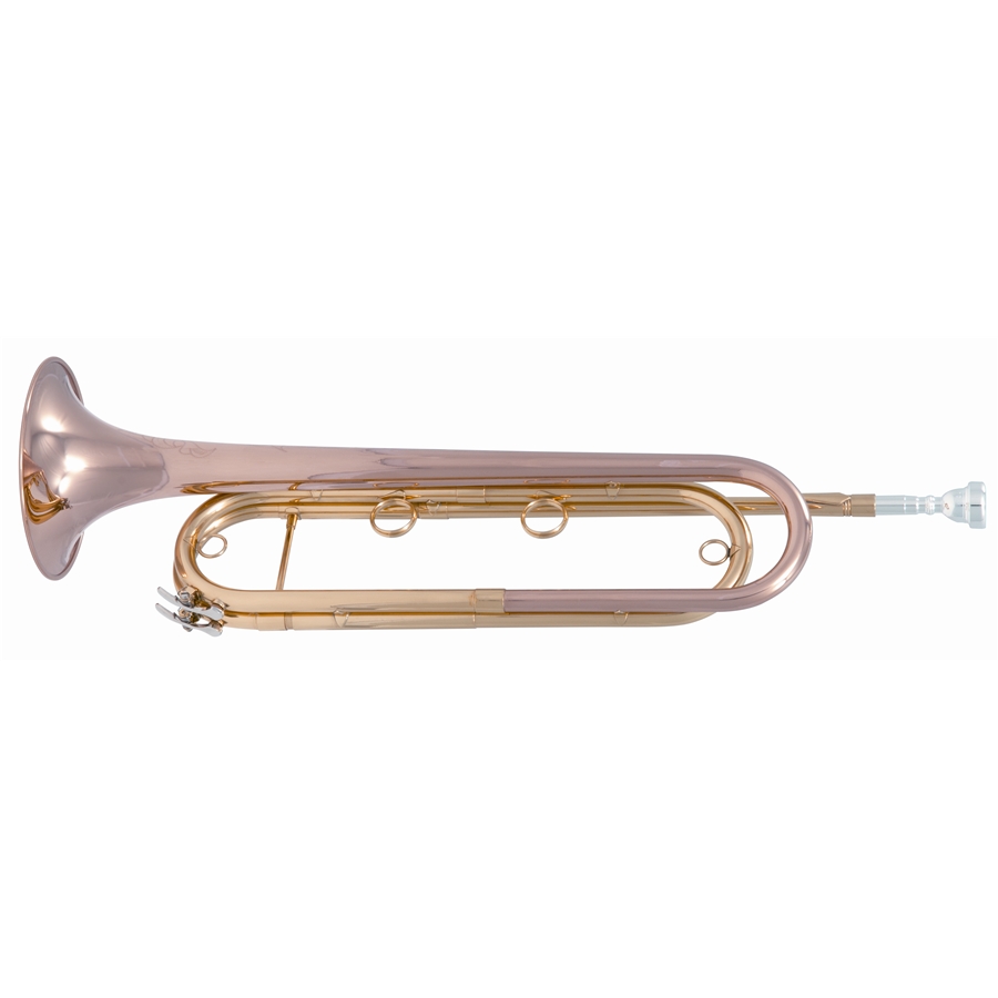 48-sml-paris-vsm-ftpc91-r-tromba-da-cavalleria-concerto-in-mib-in-ottone-rosso-14600350_1