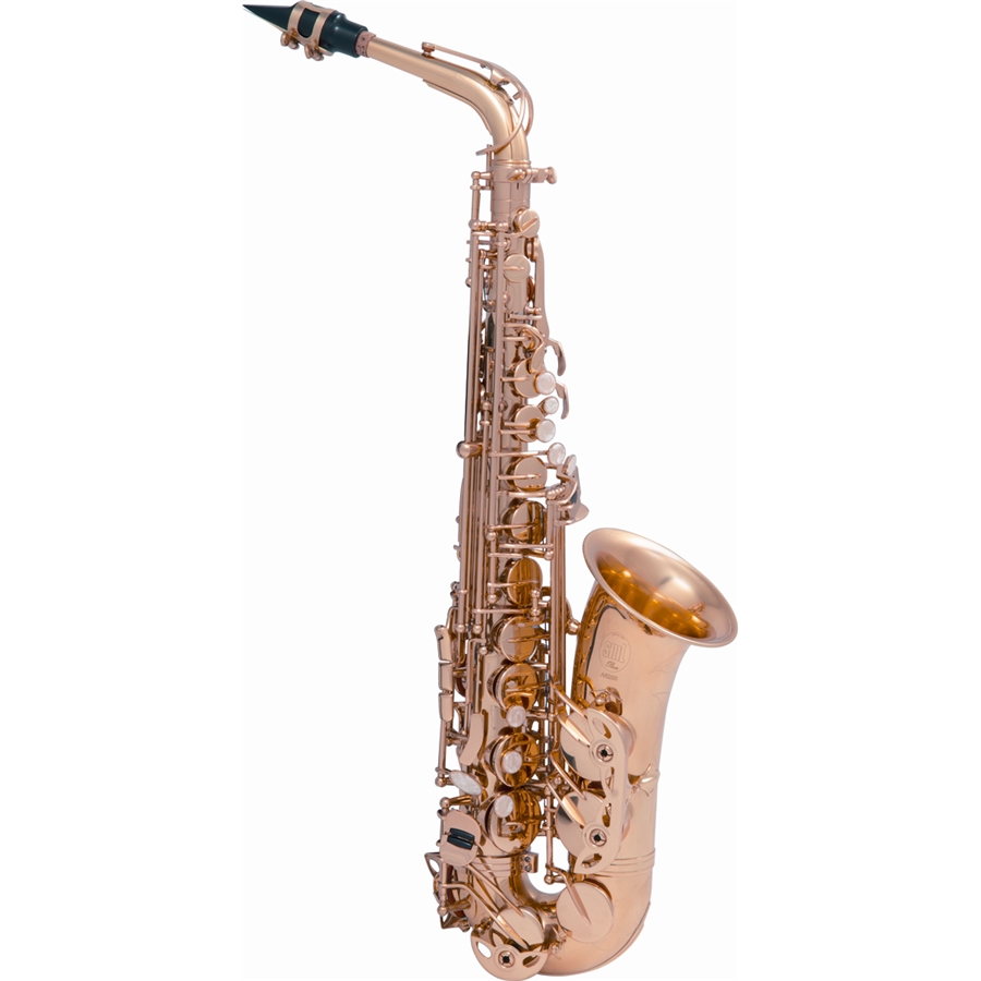 48-sml-paris-vsm-t620-ii-sax-600-tenore-14600396_1