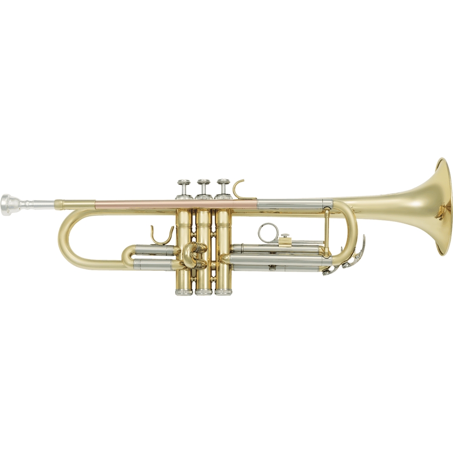 48-sml-paris-vsm-tp300-tromba-sib-14600432_0