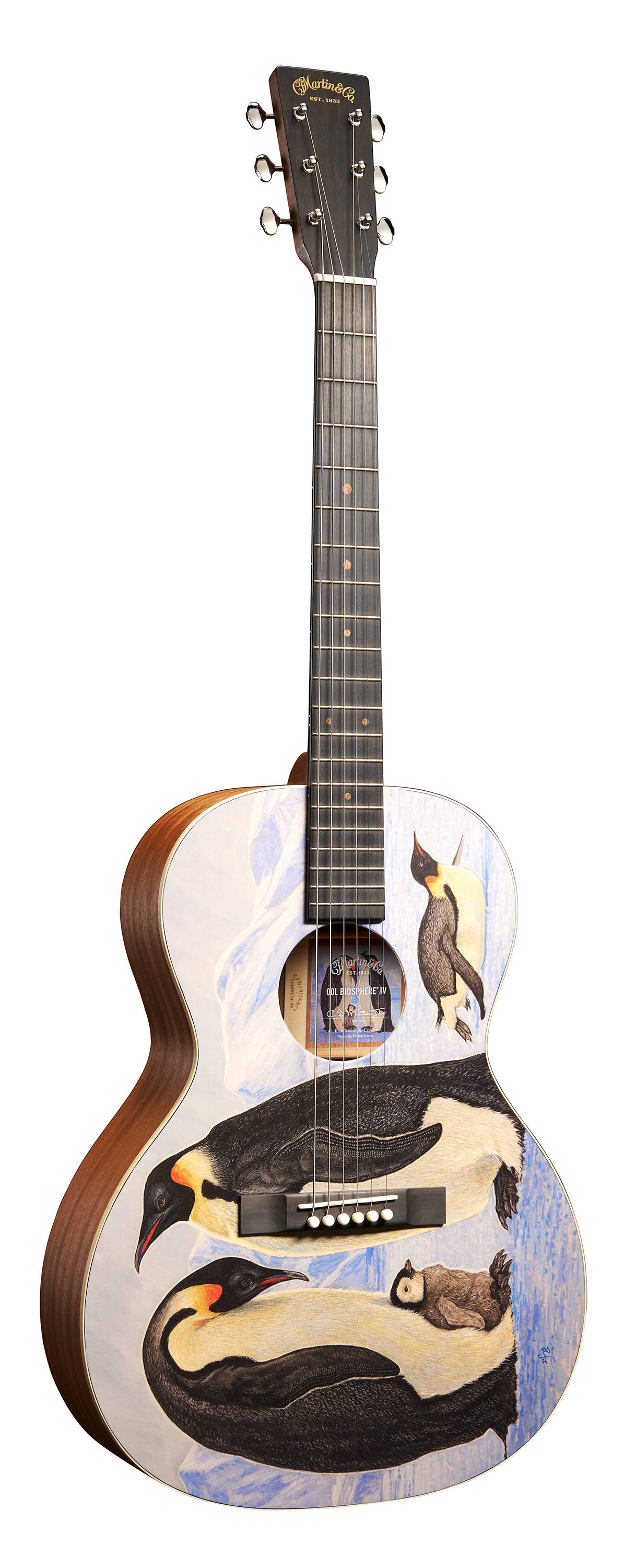 C.F. Martin & Co. 00L Biosphere IV