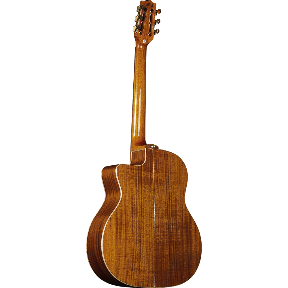 eko-guitars-alps-g450c-gipsy-06217162-1