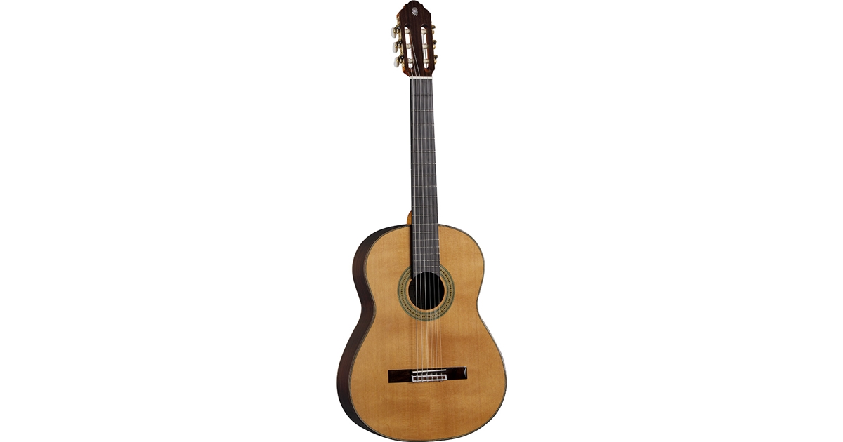 Eko Guitars Vibra 500 Mario Gangi